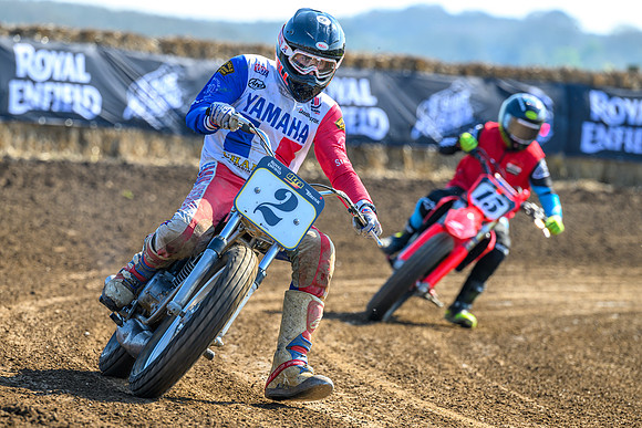 rd1web-131