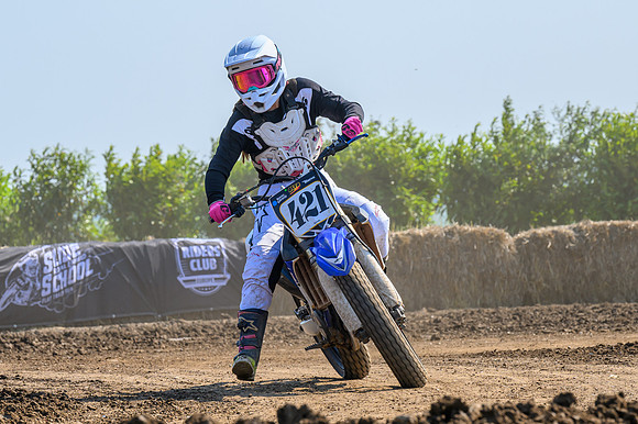 rd3sat-231