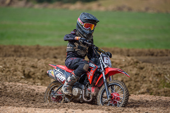 GFMinis-260