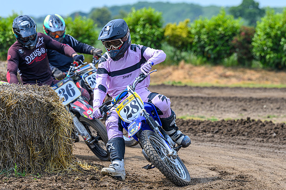 rd3suntt-240