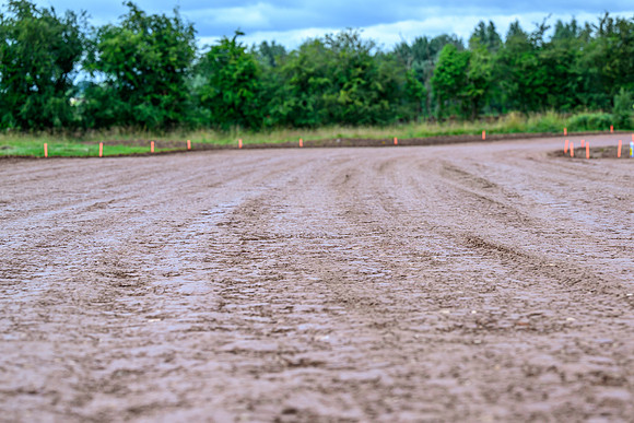 malloryrd4web