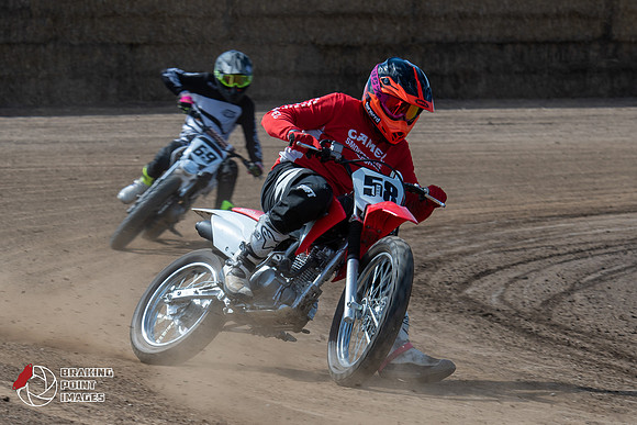 Minibikes Greenfield 18 (66)