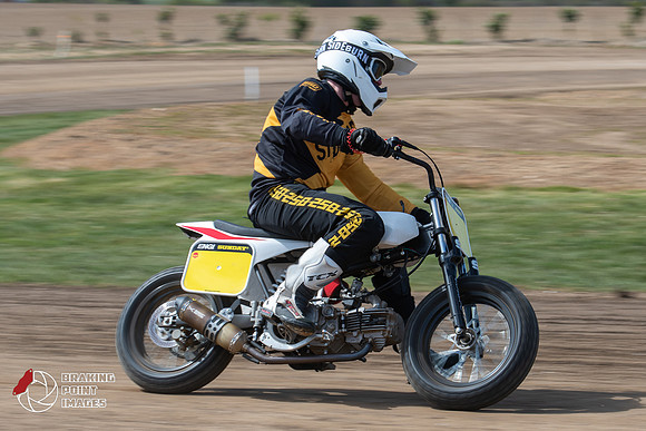 Minibikes Greenfield 18 (91)