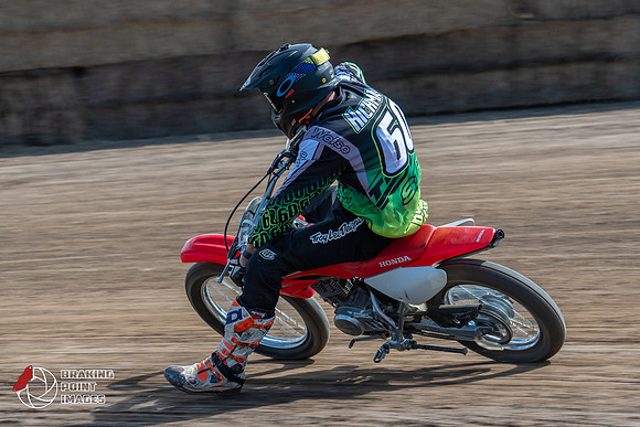 Minibikes Greenfield 18 (123)
