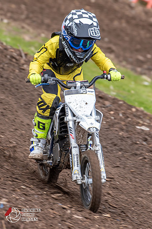 Minibikes Greenfield 18 (131)