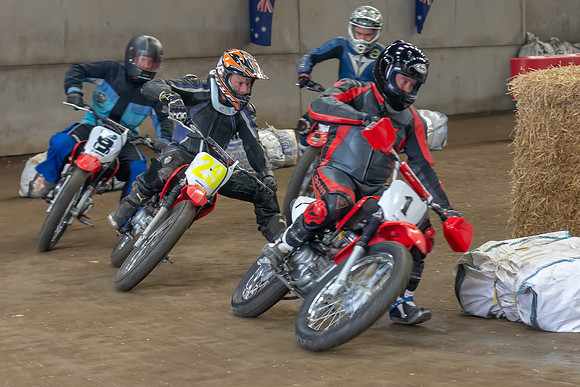 Champions Flattrack School 2.3  (65)