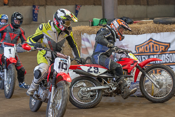 Champions Flattrack School 2.3  (99)