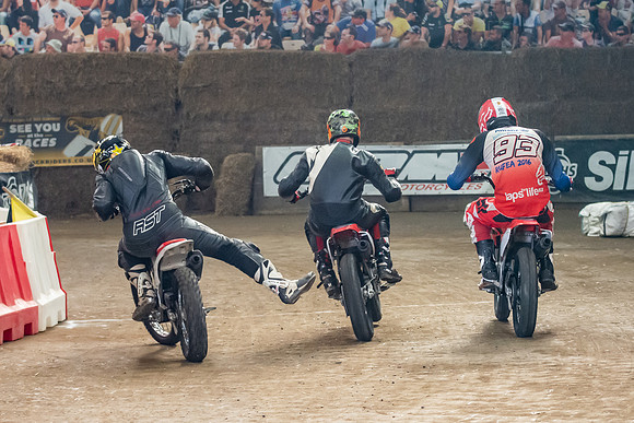 Champions Flattrack School 2.3  (113)