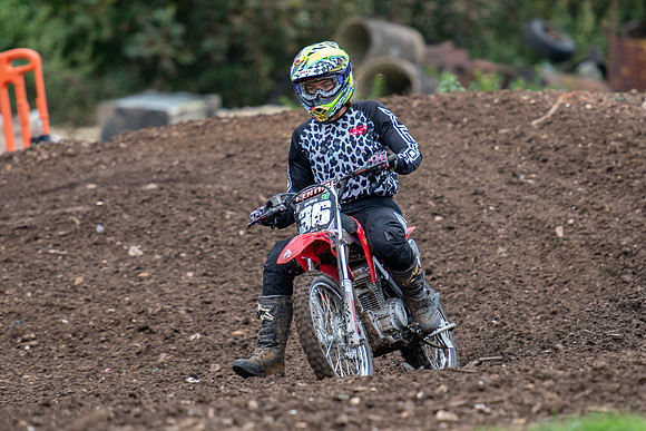 greenfieldmx (71)