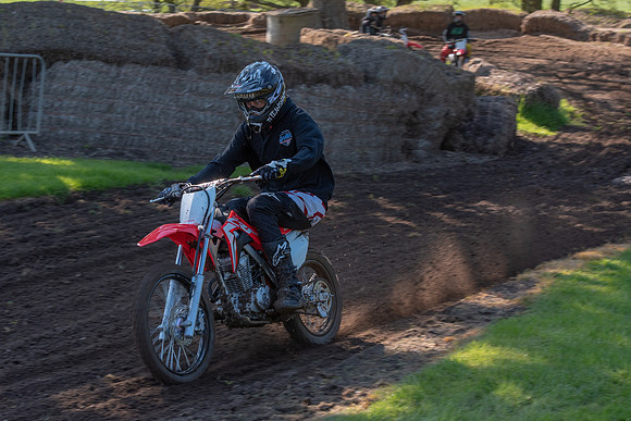 Minibikes (5)