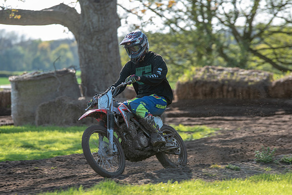 Minibikes (29)