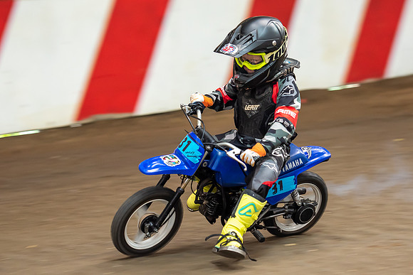 Champions Barnstormer P2  (98)