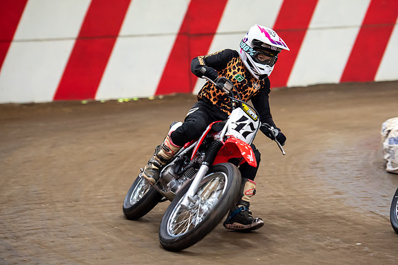 Champions Barnstormer P2  (150)