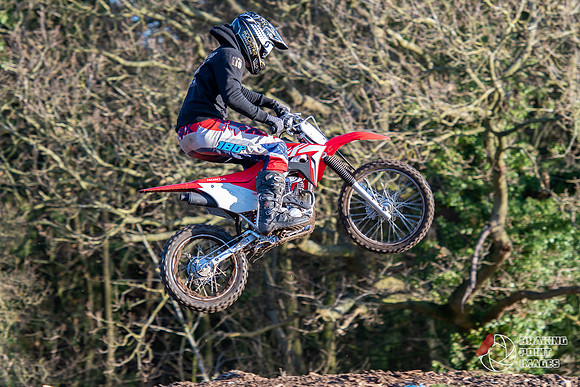 Minibikes (10)