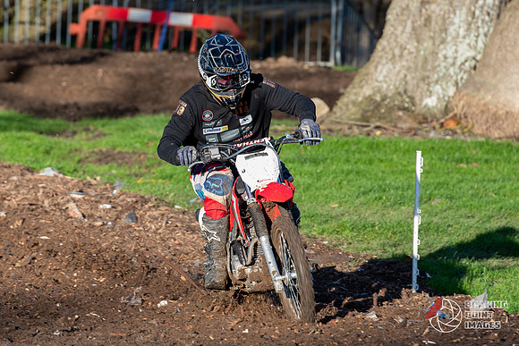 Minibikes (20)