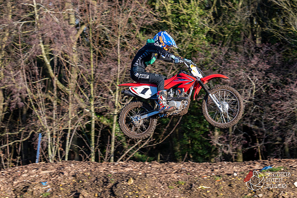 Minibikes (30)
