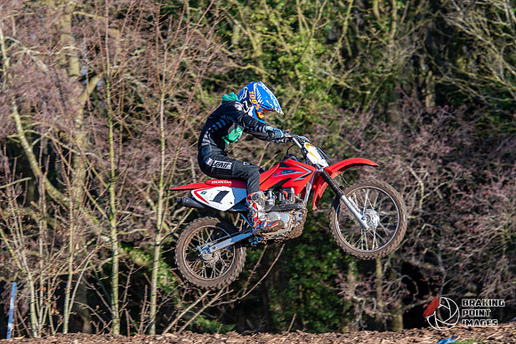 Minibikes (36)