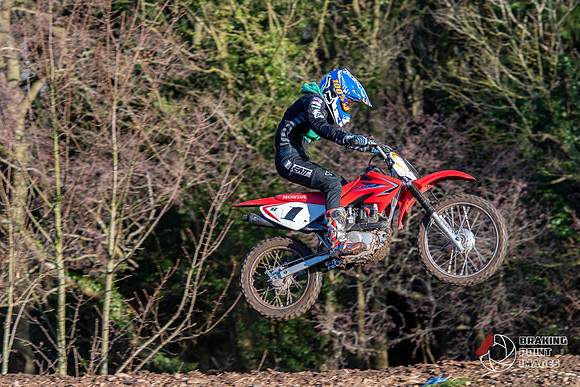 Minibikes (37)