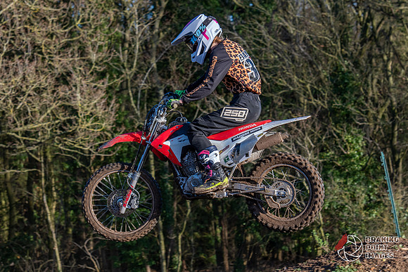 Minibikes (71)