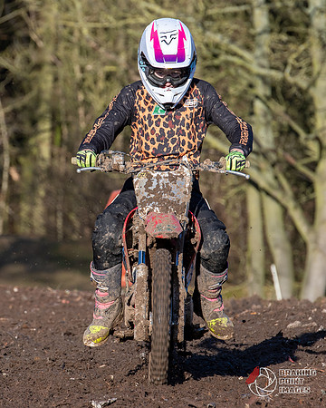 Minibikes (83)