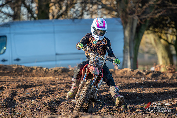 Minibikes (91)