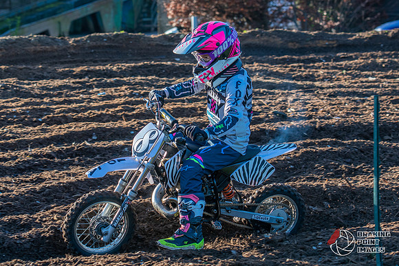 Minibikes (128)