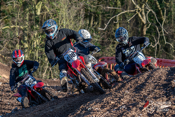 Minibikes (132)