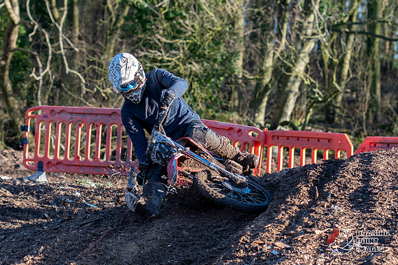 Minibikes (135)