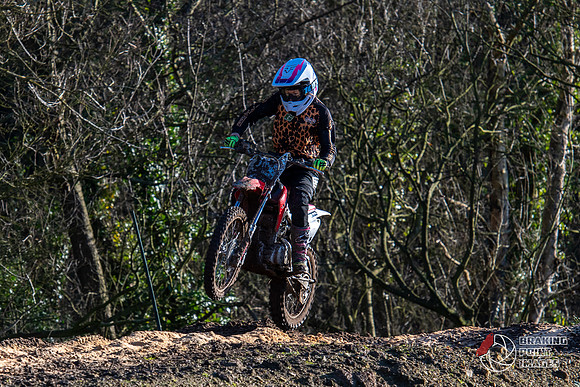 Minibikes (177)