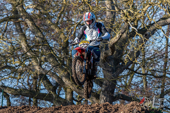 Minibikes (188)