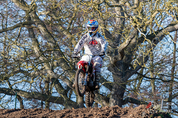 Minibikes (190)