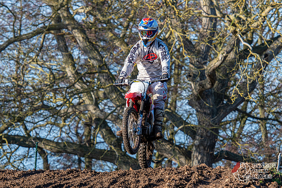 Minibikes (191)