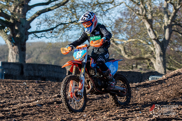 Minibikes (192)