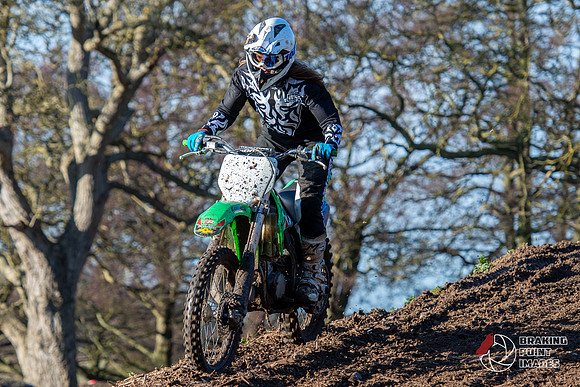 Minibikes (194)