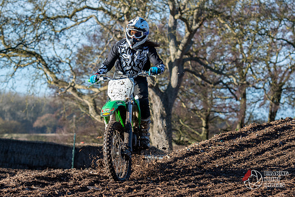 Minibikes (196)