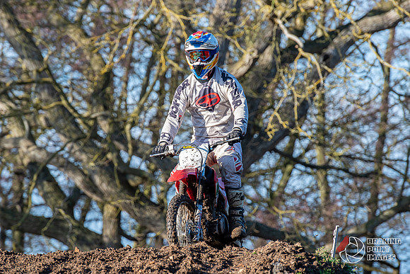 Minibikes (197)