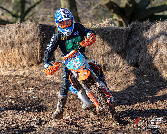 Minibikes (212)