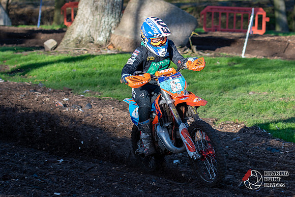 Minibikes (230)