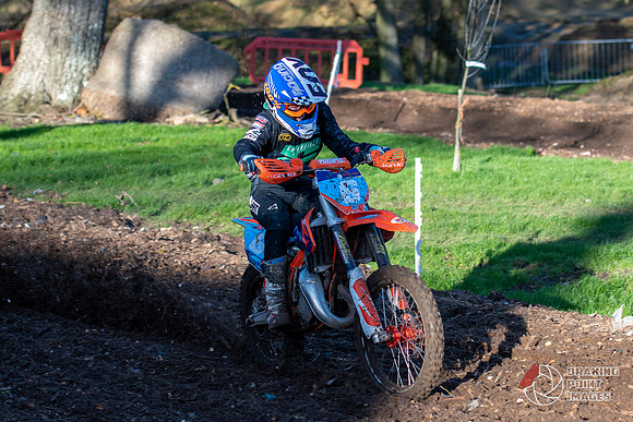 Minibikes (231)