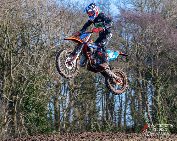 Minibikes (238)