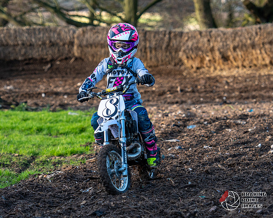 Minibikes (258)