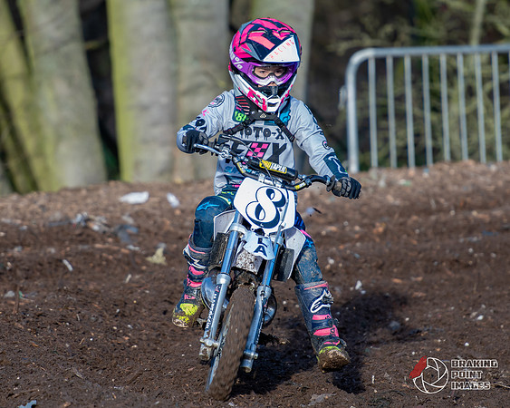 Minibikes (262)