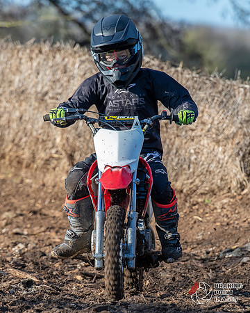 Minibikes (264)