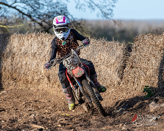 Minibikes (266)
