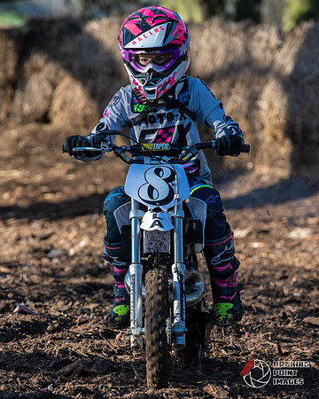 Minibikes (268)
