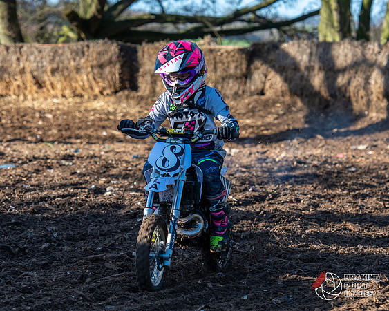 Minibikes (269)