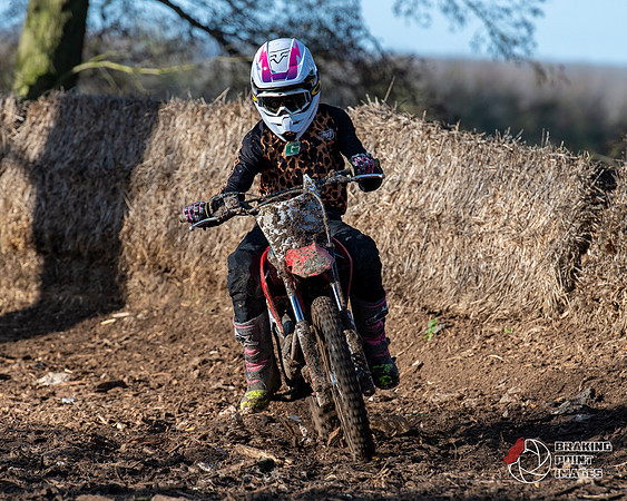 Minibikes (270)
