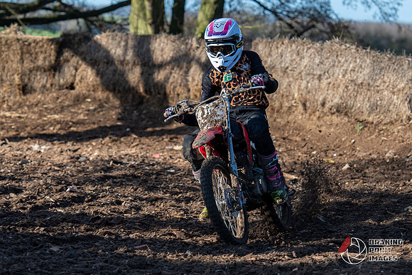 Minibikes (271)