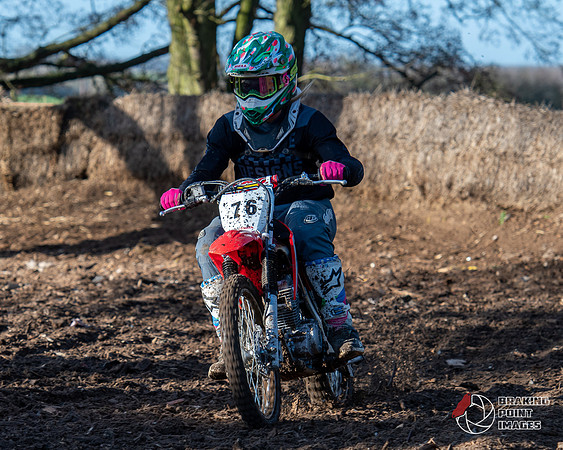 Minibikes (272)
