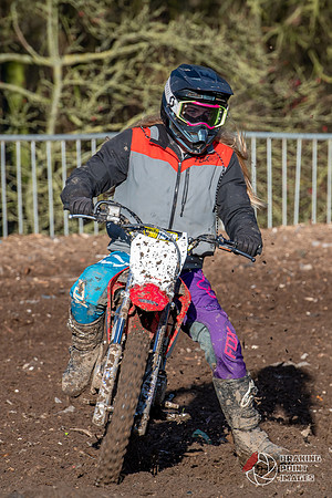 Minibikes (273)